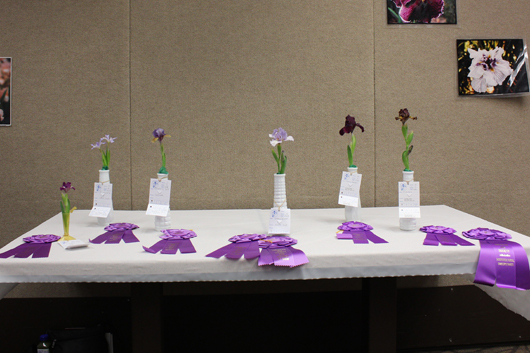 awards table